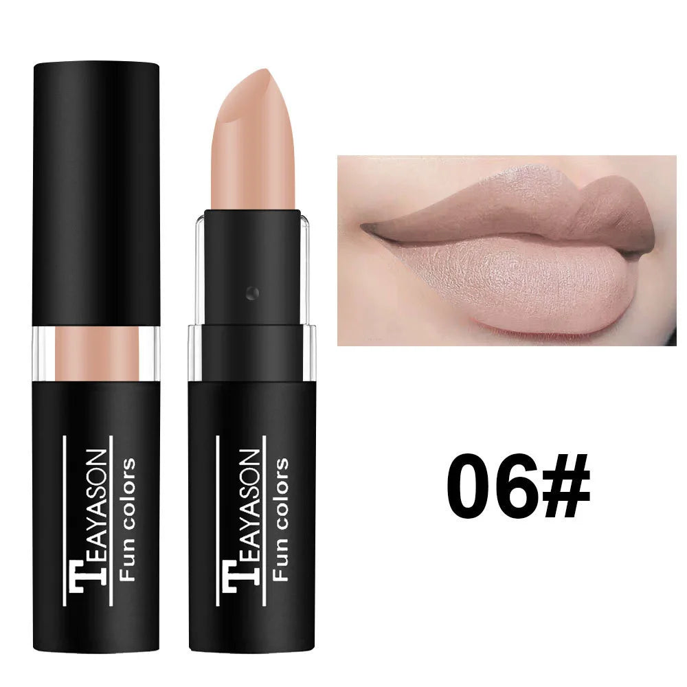 Waterproof Matte Lipstick - Long-Lasting, Smudge-Proof & Elegant Colors