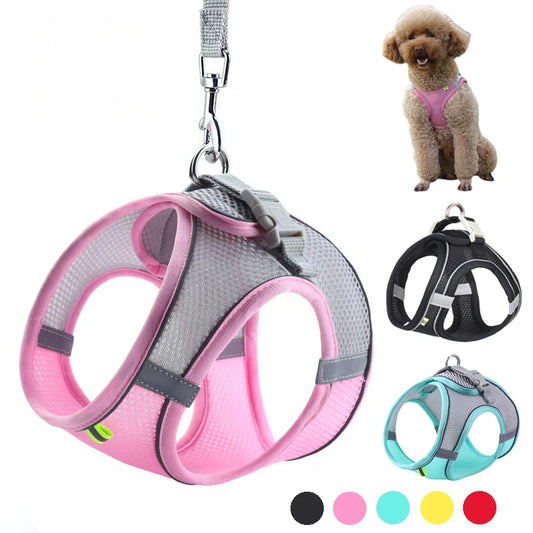 ''Adjustable Puppy Harness - Soft & Comfortable Dog Harness for Small to Medium Dogs''