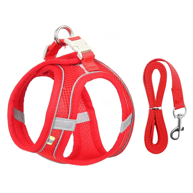 ''Adjustable Puppy Harness - Soft & Comfortable Dog Harness for Small to Medium Dogs''